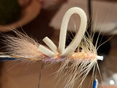 20190604_190908.webp 20190604_190908.webp