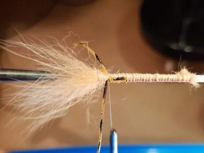 20190604_185852.webp 20190604_185852.webp