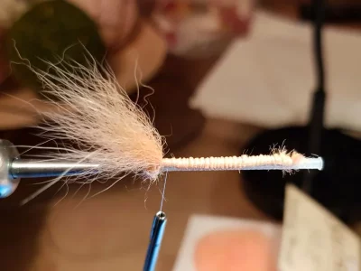 20190604_185547.webp 20190604_185547.webp