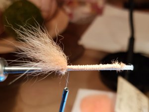 20190604_185547.jpg 20190604_185547.jpg