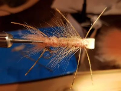 20190604_191713.webp 20190604_191713.webp