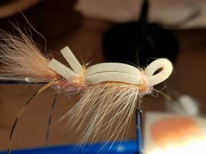 20190604_191105.jpg 20190604_191105.jpg