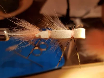 20190604_191733.webp 20190604_191733.webp