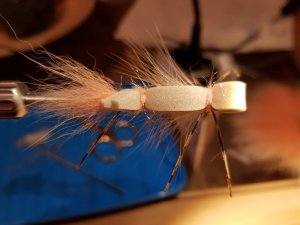 20190604_191733.jpg 20190604_191733.jpg