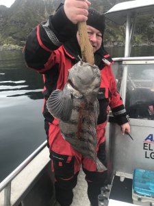 745229D6-D523-4E7A-A1C9-46B0B23524A1.jpeg 745229D6-D523-4E7A-A1C9-46B0B23524A1.jpeg