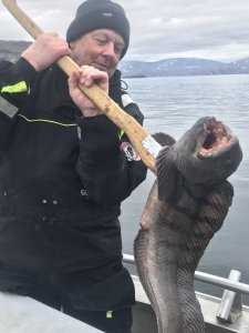 00C1AE2F-775A-4B9D-B9DE-0A1A760A099A.jpeg 00C1AE2F-775A-4B9D-B9DE-0A1A760A099A.jpeg