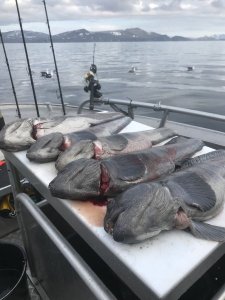 38B37CBC-6615-45C9-A961-F4A2BF0415C9.jpeg 38B37CBC-6615-45C9-A961-F4A2BF0415C9.jpeg