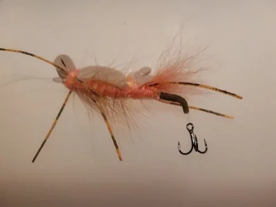 20190606_223443.webp 20190606_223443.webp