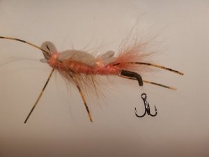 20190606_223443.jpg 20190606_223443.jpg