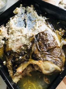 9BC40313-40BC-4226-8B63-E4C46C8586D0.jpeg 9BC40313-40BC-4226-8B63-E4C46C8586D0.jpeg