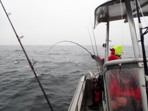 P6080378.JPG P6080378.JPG