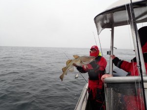 P6080384.JPG P6080384.JPG