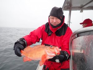 P6080390.JPG P6080390.JPG