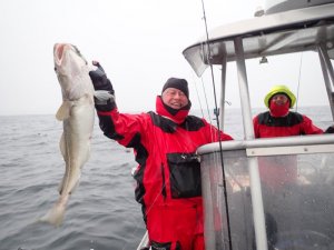 P6080395.JPG P6080395.JPG