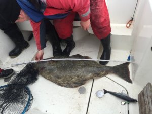 IMG_2447.JPG