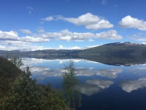 7A7EFDAF-2E05-448C-B992-3B52E47A0CC1.jpeg 7A7EFDAF-2E05-448C-B992-3B52E47A0CC1.jpeg