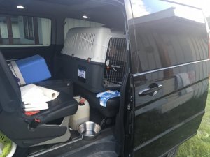 270E76EF-94E1-45F4-BDF5-A89B0CD8EDDD.jpeg 270E76EF-94E1-45F4-BDF5-A89B0CD8EDDD.jpeg