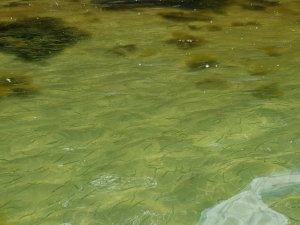 20190609_155525.jpg 20190609_155525.jpg