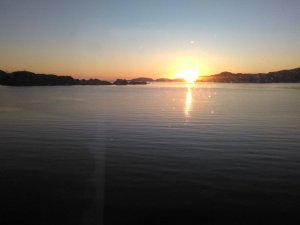 IMG_20190612_030816.jpg
