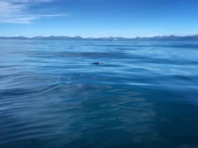 30285468-D9B8-4984-B70B-E486101EC684.webp 30285468-D9B8-4984-B70B-E486101EC684.webp