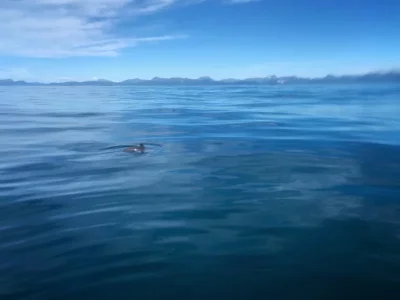 5382D26A-BA5A-48EC-AFDD-39EF9C435437.webp 5382D26A-BA5A-48EC-AFDD-39EF9C435437.webp