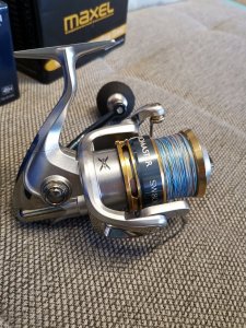 IMG_20190615_185203.jpg IMG_20190615_185203.jpg