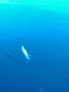 IMG_20190614_235122.jpg