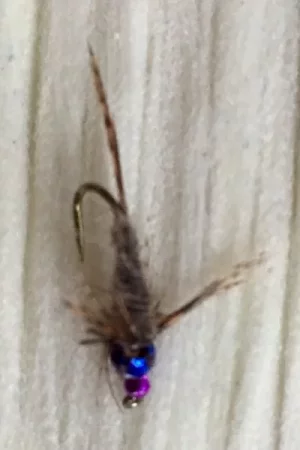 E681EEBA-4394-4505-B2A4-7232047802BD.webp E681EEBA-4394-4505-B2A4-7232047802BD.webp