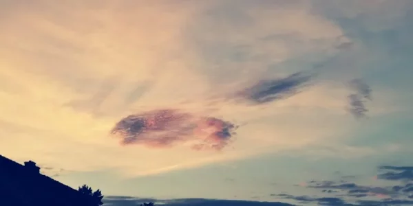 IMG_20190619_215606.webp IMG_20190619_215606.webp