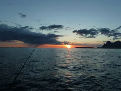 P1050593.webp P1050593.webp