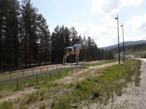 IMG-20190618-WA0055.jpg