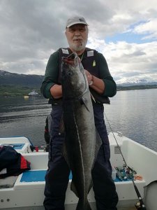 IMG-20190606-WA0006.jpg IMG-20190606-WA0006.jpg