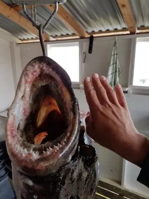 20190609_165334.webp 20190609_165334.webp