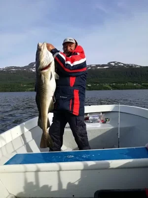 IMG-20190612-WA0011.webp IMG-20190612-WA0011.webp