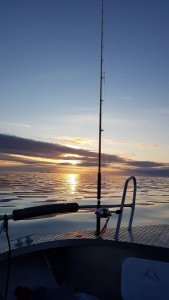 20190619_232048.jpg 20190619_232048.jpg