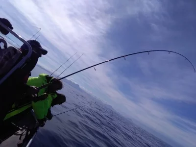 upload_2019-6-24_14-38-38.webp upload_2019-6-24_14-38-38.webp