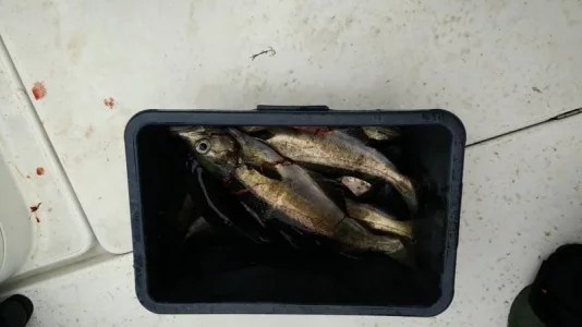 2019-06-25 12.00.48.webp