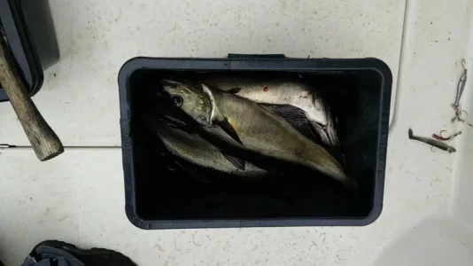 2019-06-25 14.14.39.webp