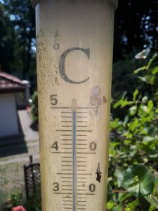 IMG-20190626-WA0003.jpg IMG-20190626-WA0003.jpg