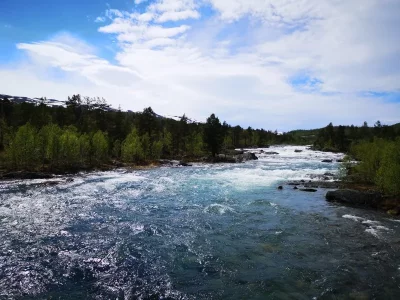 IMG_20190608_141538 - Kopie.webp