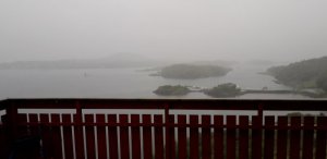 20190629_100301.jpg
