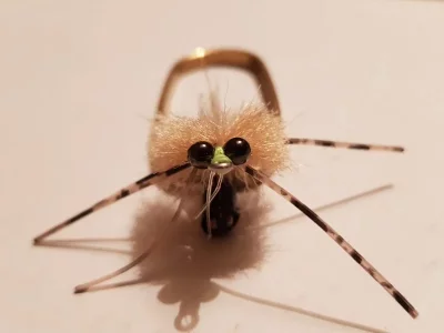 20190704_224729.webp 20190704_224729.webp