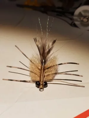 20190705_151939.webp 20190705_151939.webp