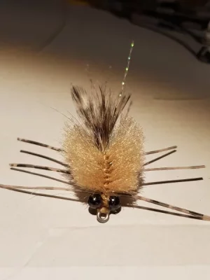 20190705_152029.webp 20190705_152029.webp