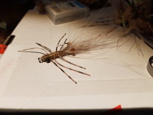 20190705_164548.jpg 20190705_164548.jpg