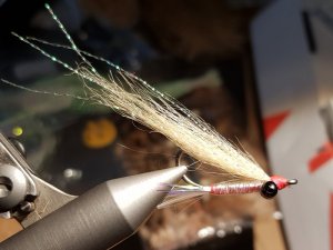 20190705_155759.jpg 20190705_155759.jpg