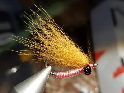 20190705_152555.webp 20190705_152555.webp