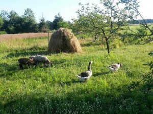 uploadfromtaptalk1399283539796.jpg uploadfromtaptalk1399283539796.jpg