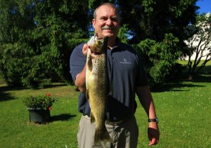 53er Bachforelle2.jpg