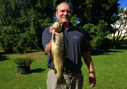 53er Bachforelle2.webp